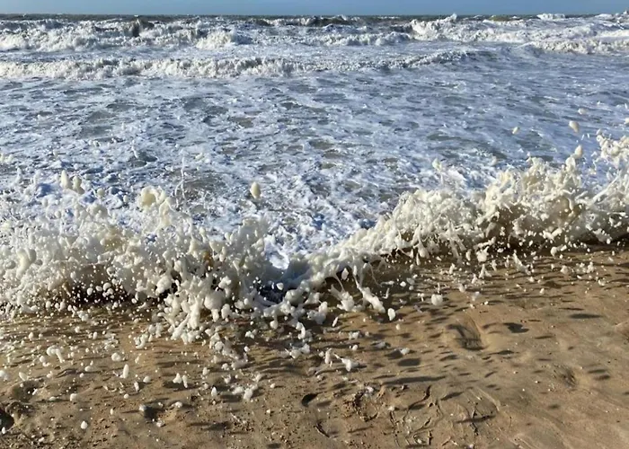 In Near And Promenade Ostend