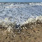 In Near And Promenade 奥斯滕德